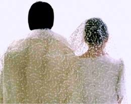  100121 White Wedding Couple's Veil 
